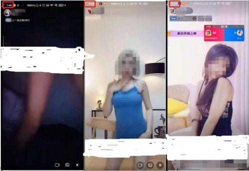 跳蛋成人阅读视频,视频揭秘与体验分享