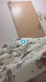 高清成人51视频福利